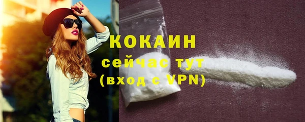 ECSTASY Богородицк